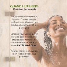 Load image into Gallery viewer, SHAMPOING PURIFIANT