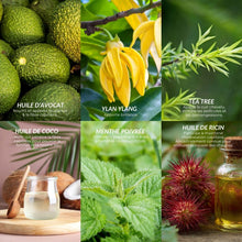 Charger l'image dans la galerie, LE DUO DE SPRAYS