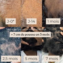 Charger l'image dans la galerie, Pack découverte (formats minis)
